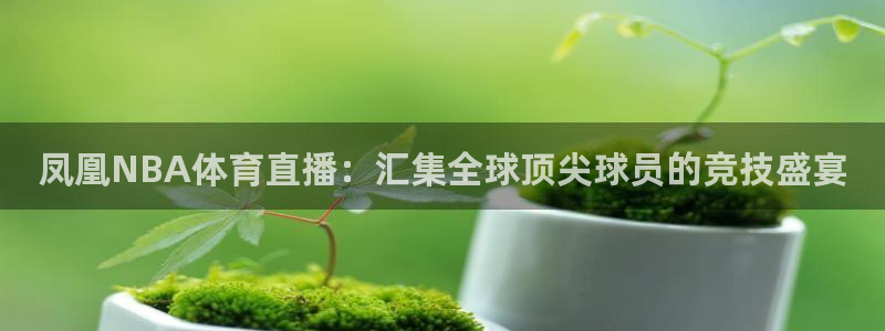 凤凰NBA体育直播：汇集全球顶尖球员的竞技盛宴