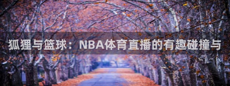 狐狸与篮球：NBA体育直播的有趣碰撞与