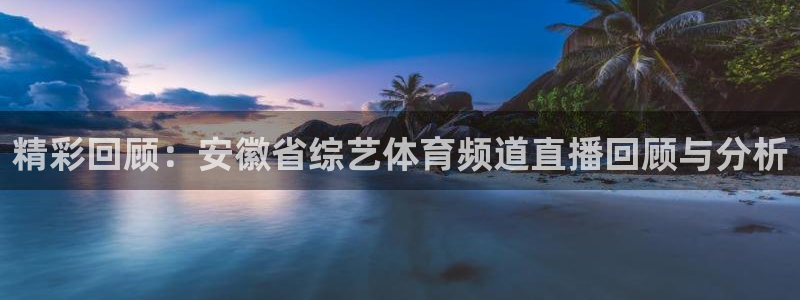 精彩回顾：安徽省综艺体育频道直播回顾与分析