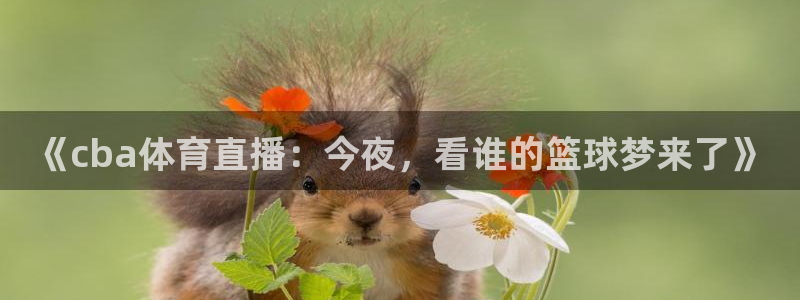 《cba体育直播：今夜，看谁的篮球梦来了》