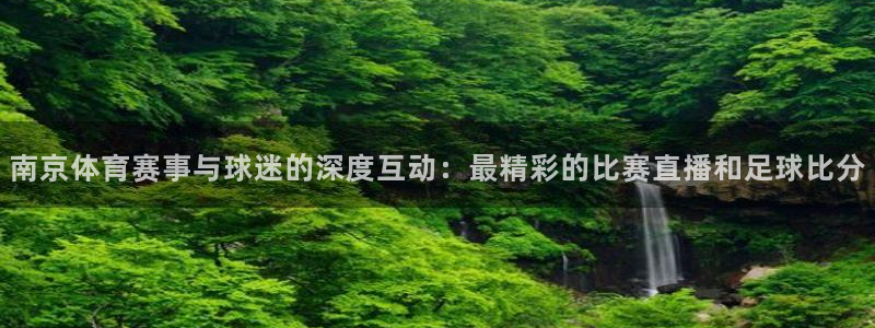 南京体育赛事与球迷的深度互动：最精彩的比赛直播和足球比分