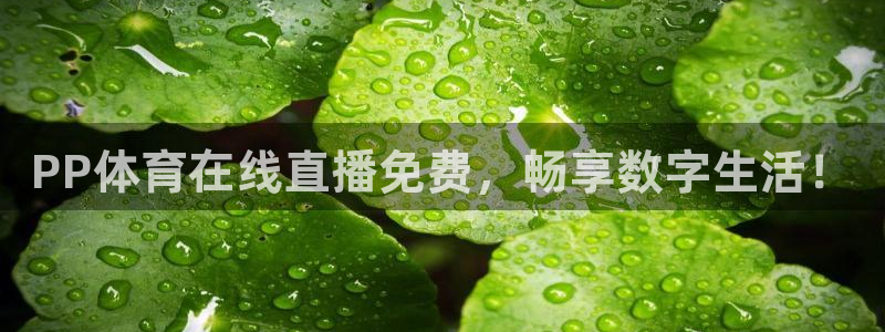 PP体育在线直播免费，畅享数字生活！