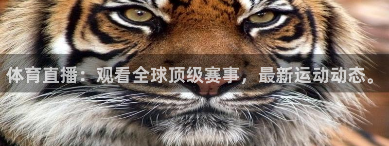 体育直播：观看全球顶级赛事，最新运动动态。