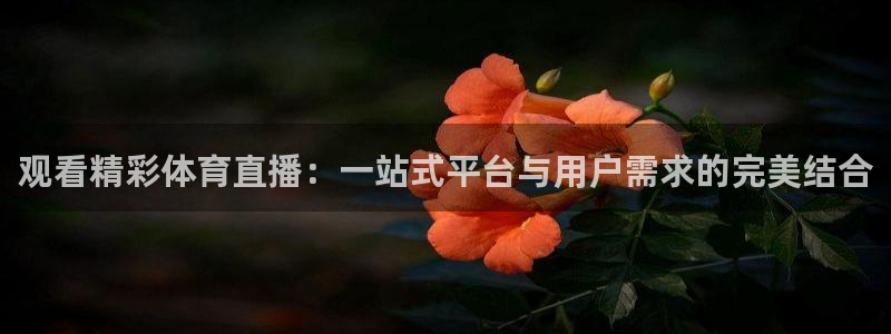 观看精彩体育直播：一站式平台与用户需求的完美结合