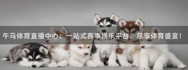 午马体育直播中心：一站式赛事娱乐平台，尽享体育盛宴！