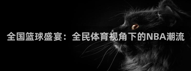 全国篮球盛宴：全民体育视角下的NBA潮流