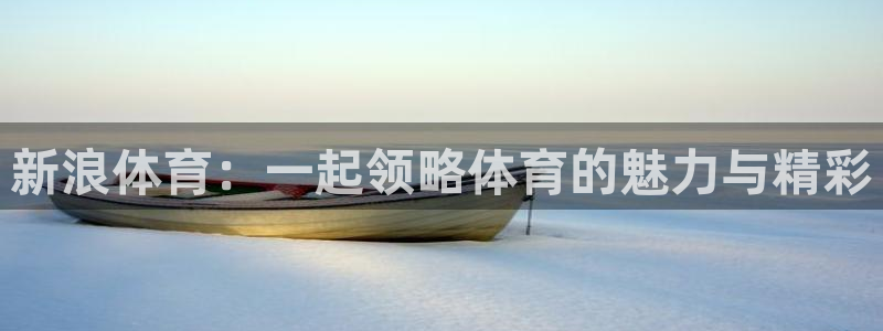 新浪体育：一起领略体育的魅力与精彩