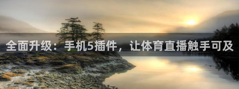 全面升级：手机5插件，让体育直播触手可及