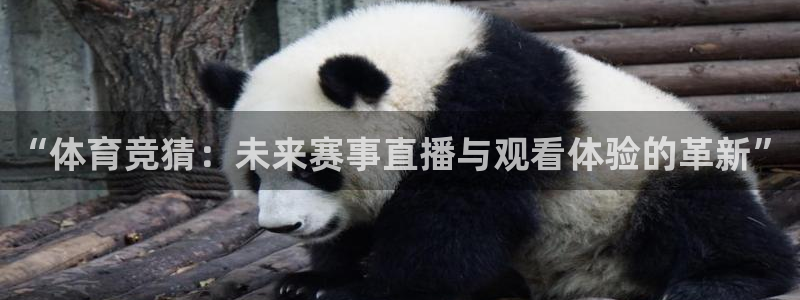 “体育竞猜：未来赛事直播与观看体验的革新”