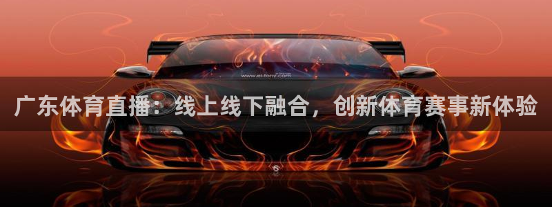 广东体育直播：线上线下融合，创新体育赛事新体验