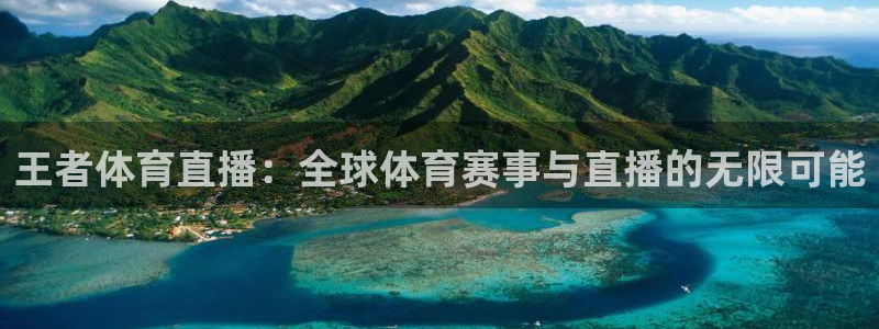 王者体育直播：全球体育赛事与直播的无限可能