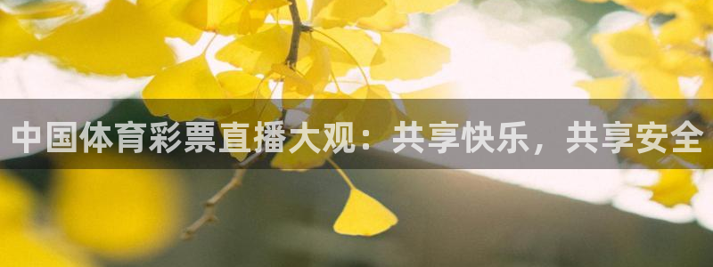 中国体育彩票直播大观：共享快乐，共享安全
