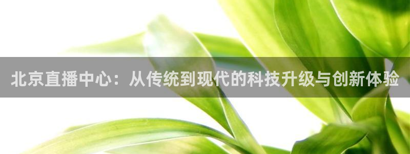 北京直播中心：从传统到现代的科技升级与创新体验
