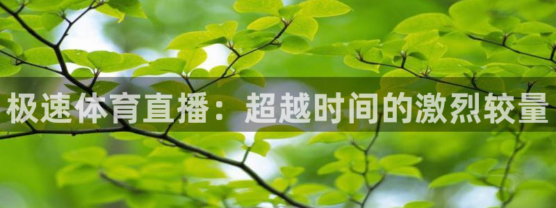 极速体育直播：超越时间的激烈较量