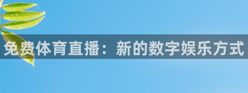 免费体育直播：新的数字娱乐方式
