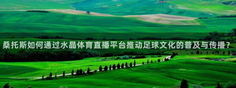 桑托斯如何通过水晶体育直播平台推动足球文化的普及与传播？