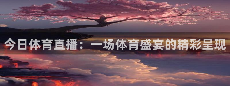 今日体育直播：一场体育盛宴的精彩呈现