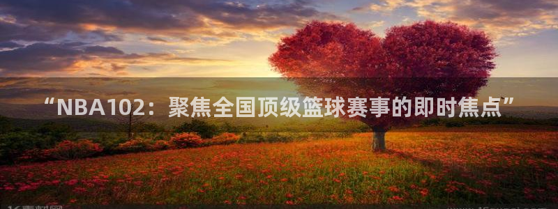 “NBA102：聚焦全国顶级篮球赛事的即时焦点”