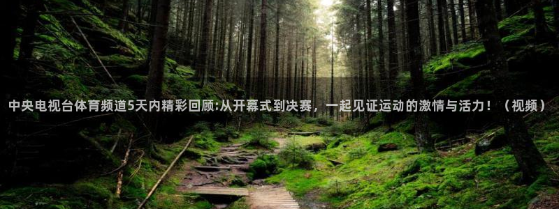 中央电视台体育频道5天内精彩回顾:从开幕式到决赛，一起见证运动的激情与活力！（视频）