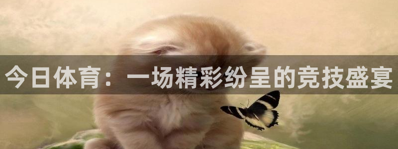 今日体育：一场精彩纷呈的竞技盛宴