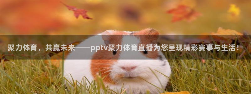 聚力体育，共赢未来——pptv聚力体育直播为您呈现精彩赛事与生活！