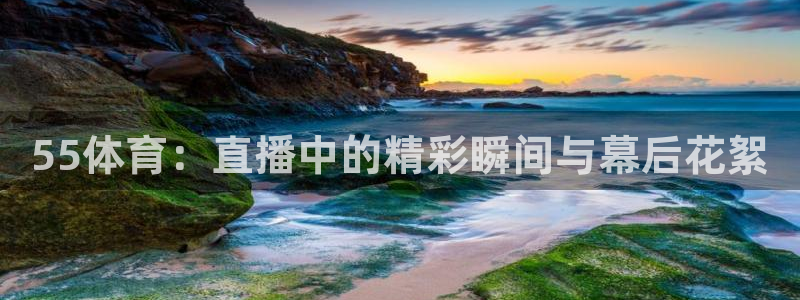 55体育：直播中的精彩瞬间与幕后花絮