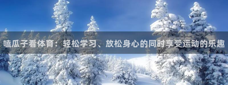 嗑瓜子看体育：轻松学习、放松身心的同时享受运动的乐趣