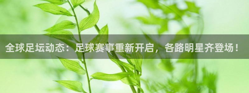 全球足坛动态：足球赛事重新开启，各路明星齐登场！