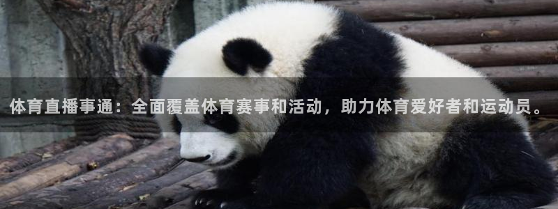 体育直播事通：全面覆盖体育赛事和活动，助力体育爱好者和运动员。