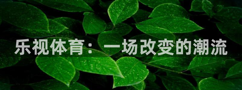 乐视体育：一场改变的潮流