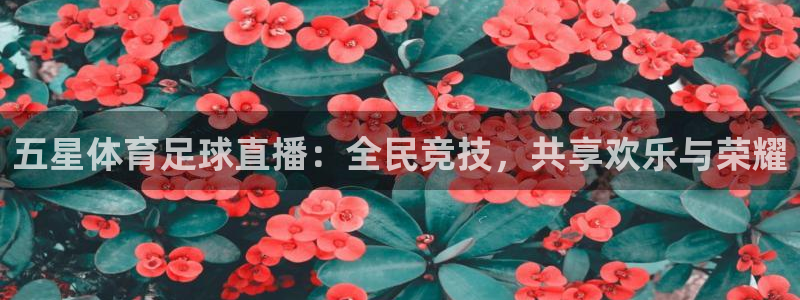五星体育足球直播：全民竞技，共享欢乐与荣耀
