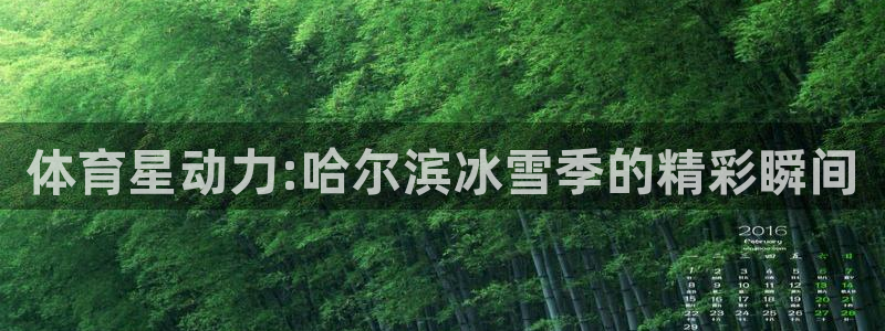 体育星动力:哈尔滨冰雪季的精彩瞬间
