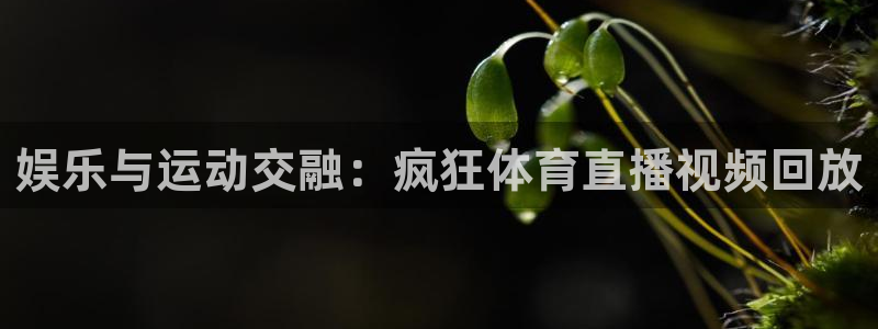 娱乐与运动交融：疯狂体育直播视频回放