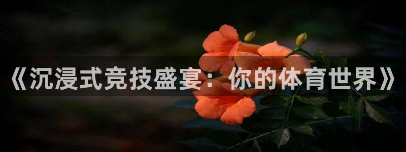《沉浸式竞技盛宴：你的体育世界》