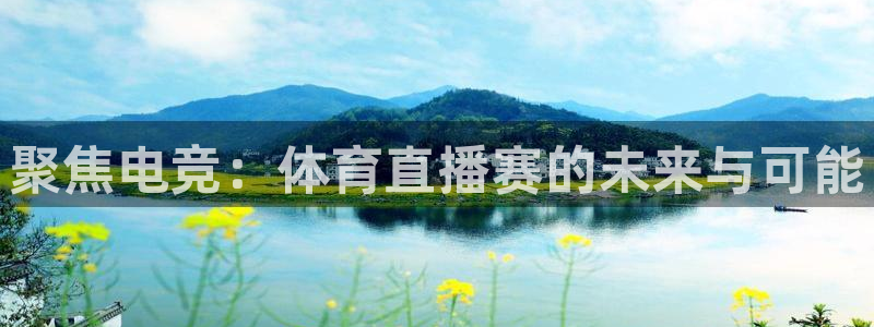聚焦电竞：体育直播赛的未来与可能