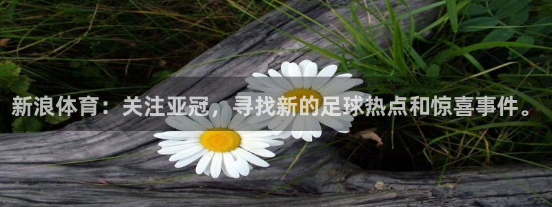 新浪体育：关注亚冠，寻找新的足球热点和惊喜事件。